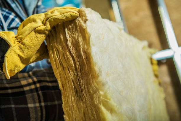 Best Cellulose Insulation in Dunmore, PA