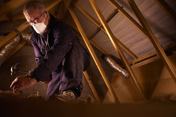 Best Energy Efficiency Insulation in Dunmore, PA