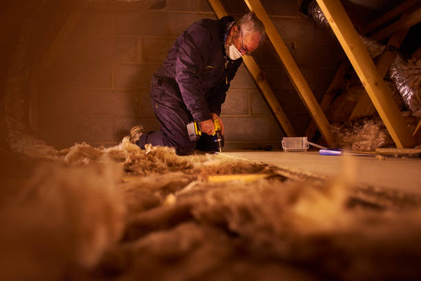 Best DIY Insulation Kits and Guidance in Dunmore, PA